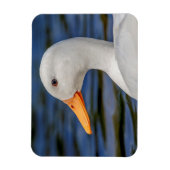 White Mallard Duck Magnet (Vertikal)