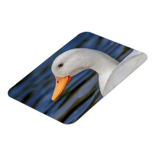 White Mallard Duck Magnet (Linke Seite)