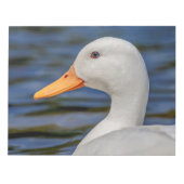 White Mallard Duck Notizblock (Vorderseite)