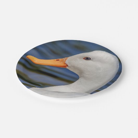 White Mallard Duck Pappteller (Schrägansicht)