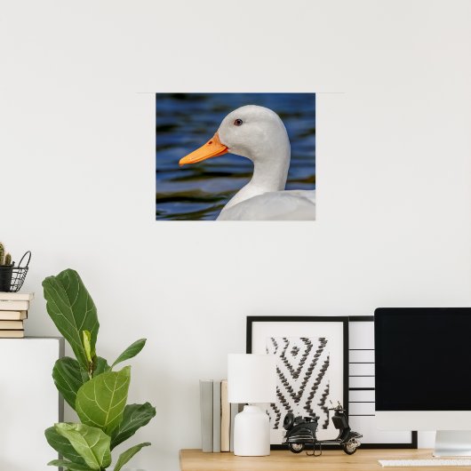 White Mallard Duck Poster (Heimbüro)