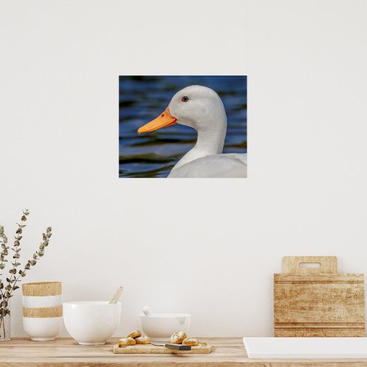 White Mallard Duck Poster (Küche)