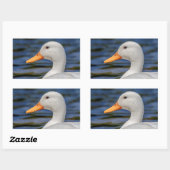 White Mallard Duck Rechteckiger Aufkleber (Blatt)