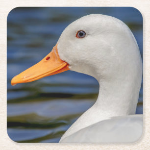 White Mallard Duck Rechteckiger Pappuntersetzer