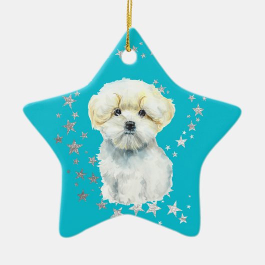 White Maltese Hund Silver Stars Aquamarin Weihnach Keramik Ornament (Vorne)
