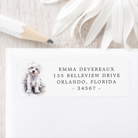 White Malteser Rücksendeadresse (Insitu)