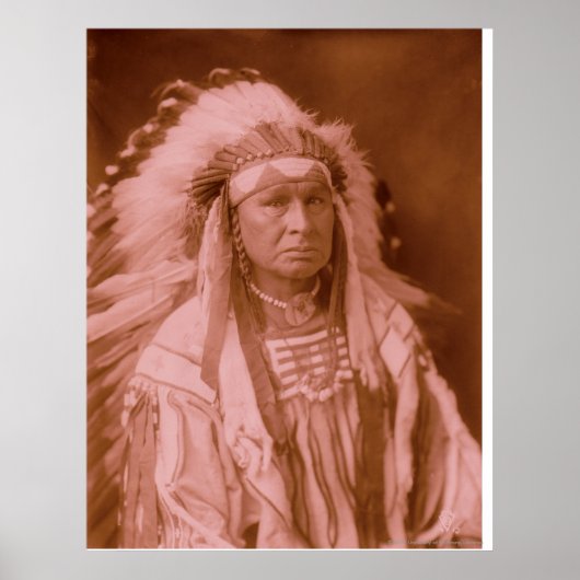 White Man fährt ihn - Crow Poster (Vorne)