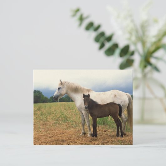 White Mare mit Bay Foal Postkarte (Stehend Vorderseite)