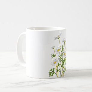 White Marguerite Daisy Kaffeetasse