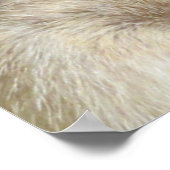 White Meerkat Army and Logo, Poster (Ecke)