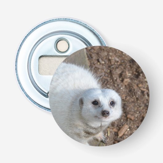 White_Meerkat-Looking, magnetischer Flaschenöffner (Vorderseite)