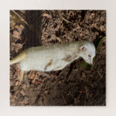 White Meerkat Stehend , Jigsaw Puzzle (Horizontal)