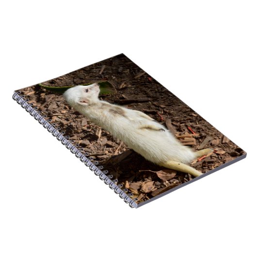 White Meerkat Stehend , Notebook Notizblock (Rechte Seite)