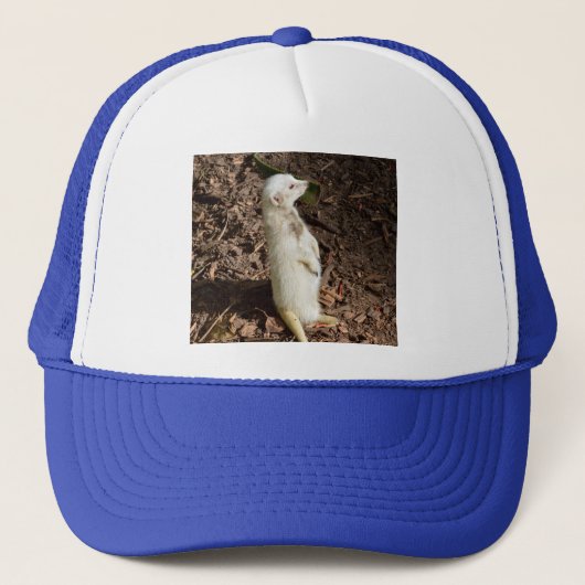 White Meerkat Stehend, Truckerkappe (Vorderseite)