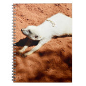 White Meerkat Stretching, Notebook Notizblock (Vorderseite)