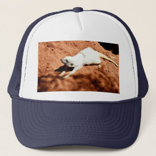 White Meerkat Stretching, Truckers Hat Truckerkappe