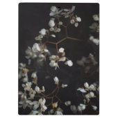 White moody flowers on dark background klemmbrett (Rückseite)