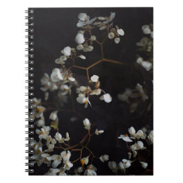 White moody flowers on dark background notizblock