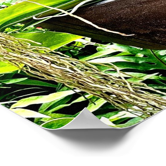 White Moon Orchid Poster (Ecke)