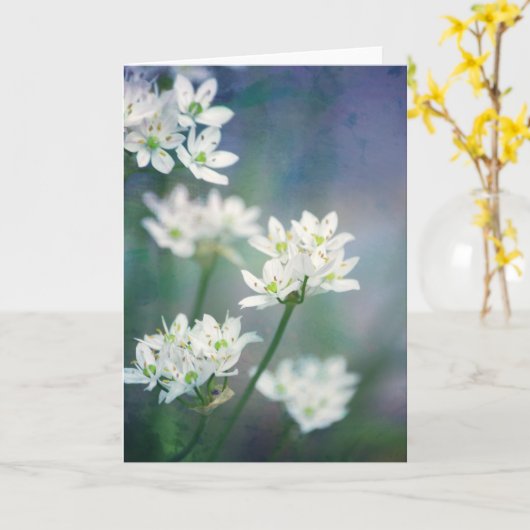 White Morning Blossoms Scripture Card Psalm 143:8 Karte (Gelbe Blume)