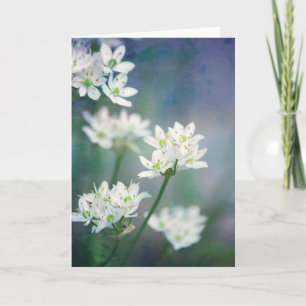 White Morning Blossoms Scripture Card Psalm 143:8 Karte