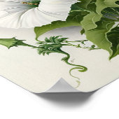 White Morning Gloriage Blume Art Print Poster (Ecke)