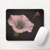 White Morning Glory Blume Mousepad (Mit Mouse)