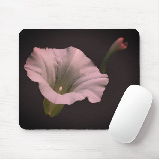 White Morning Glory Blume Mousepad (Mit Mouse)