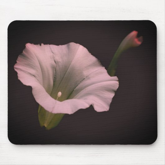 White Morning Glory Blume Mousepad (Vorne)