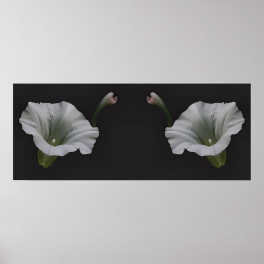 White Morning Glory Blumen Mirror Abstrakt Poster (Vorne)