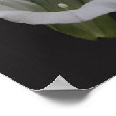 White Morning Glory Blumen Mirror Abstrakt Poster (Ecke)