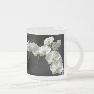White Moth Orchid Blume & Ferns Mattglastasse