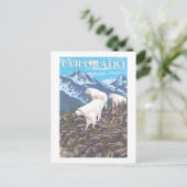 White Mountain Goat FamilyColorado Postkarte (Stehend Vorderseite)