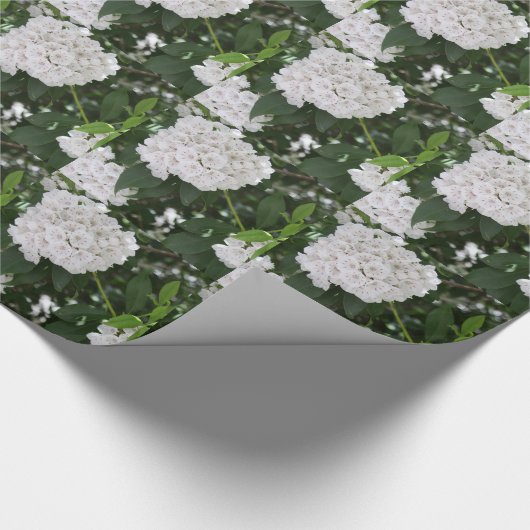White Mountain Laurel Blume Geschenkpapier (Ecke)