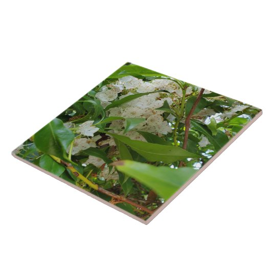 White Mountain Laurel Keramik Tile Fliese (Seite)