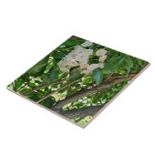 White Mountain Laurel Shrub Branchen Fliese (Seite)