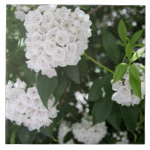 White Mountain Laurel Star Shaped Blume Fliese (Vorderseite)
