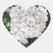White Mountain Laurel Star Shaped Blume Herz-Aufkleber (Vorderseite)