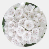 White Mountain Laurel Star Shaped Blume Runder Aufkleber (Vorderseite)
