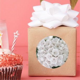 White Mountain Laurel Star Shaped Blume Runder Aufkleber