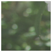 White Mountain Laurel Star Shaped Clusters Stoff (Muster)