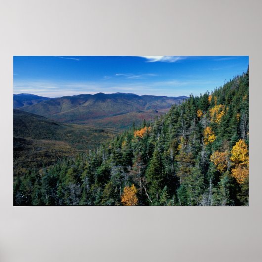 White Mountain N.F., NH. Die Aussicht aus der Nähe Poster (Vorne)