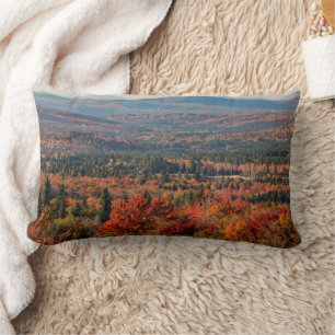 White Mountains National Forest   New Hampshire Lendenkissen