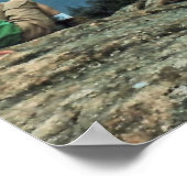 White Mountains Vista Poster (Ecke)