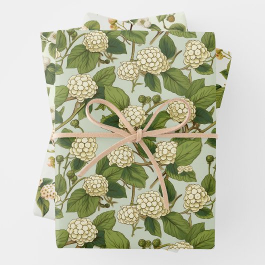 White Mulberry Geschenkpapier Set (Beispiel)
