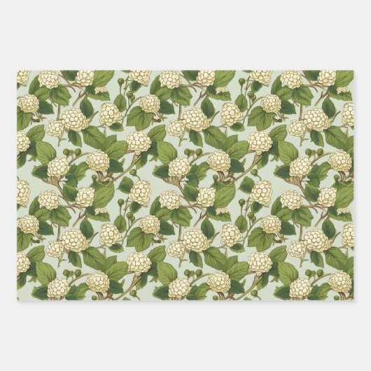 White Mulberry Geschenkpapier Set (Vorderseite)