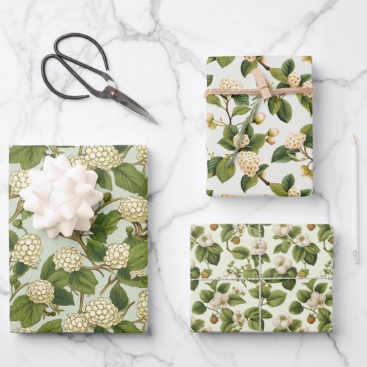 White Mulberry Geschenkpapier Set (Vorderseite)