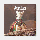 White Mule, Petra Jordan Magnet (Vorne)