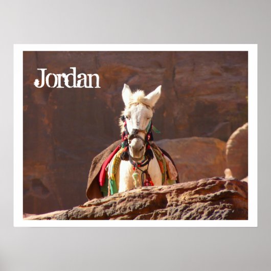 White Mule, Petra, Jordan Poster (Vorne)