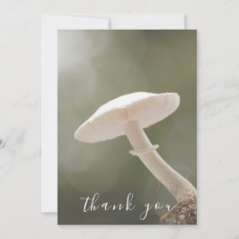 White Mushroom Green Background Flat Vielen Dank Dankeskarte